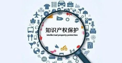 城市营商环境怎么干,市长回答!专家解读→