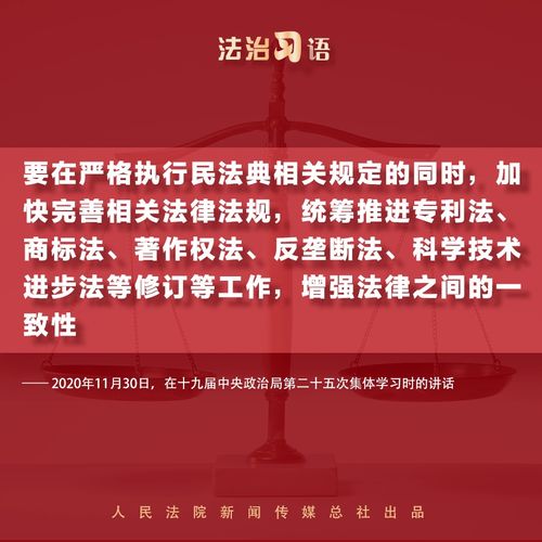 法治习语 知识产权保护
