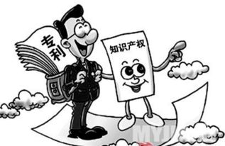 知识产权与项目申报 顶呱呱,一站式企业服务平台