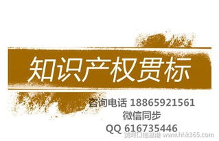 东营知识产权贯标办理需要什么材料和条件