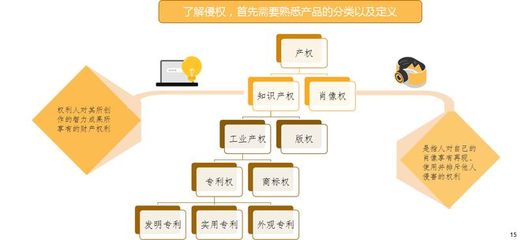跨境电商产品侵权问题和知识产权问题与应对措施