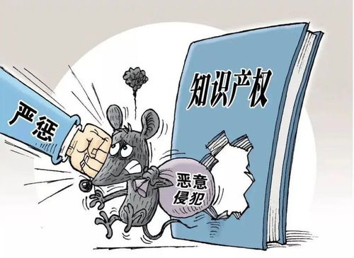 松溪检察 加强知识产权保护 切实履行检察职责