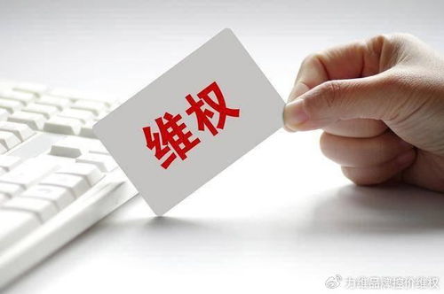 品牌知识产权保护与渠道管理的重要性