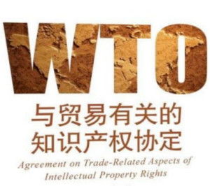 与贸易有关的知识产权协定