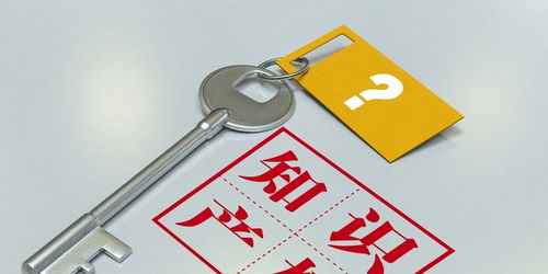 对话国家知识产权局知识产权保护司司长 大家谈 保护 那些事儿