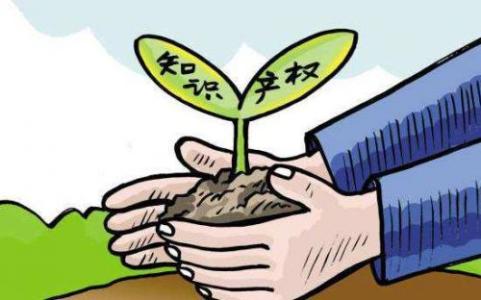 济南建国家级知识产权保护中心 审查走绿色通道