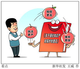 关于强化知识产权保护的意见 三大看点