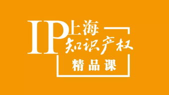 2019年 上海知识产权 精品课 版权保护助力品牌创新