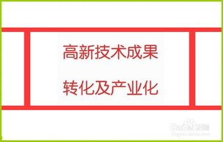 知识产权优势方向怎么填