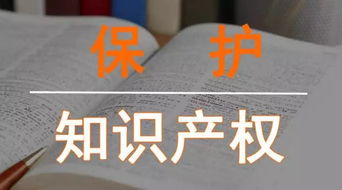 第二届进博会知识产权保护有力 上海查获侵犯知识产权案件328件涉案金额30多亿元