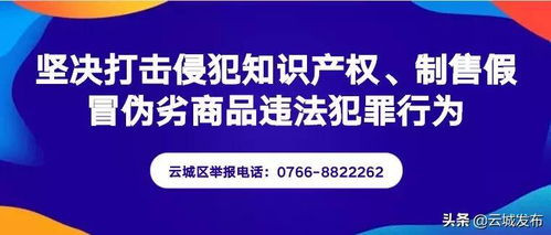 云城区前锋镇 小小蝴蝶兰 开出致富花