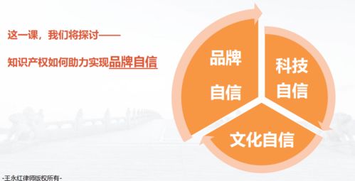 活动回顾 8月6日线上公益分享之企业知识产权保护与风险防范策略之品牌自信