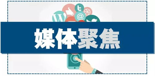 人民日报 知识产权越来越有保障