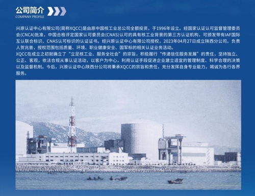 dsmm认证 解锁数据安全新高度,筑牢企业数据防线